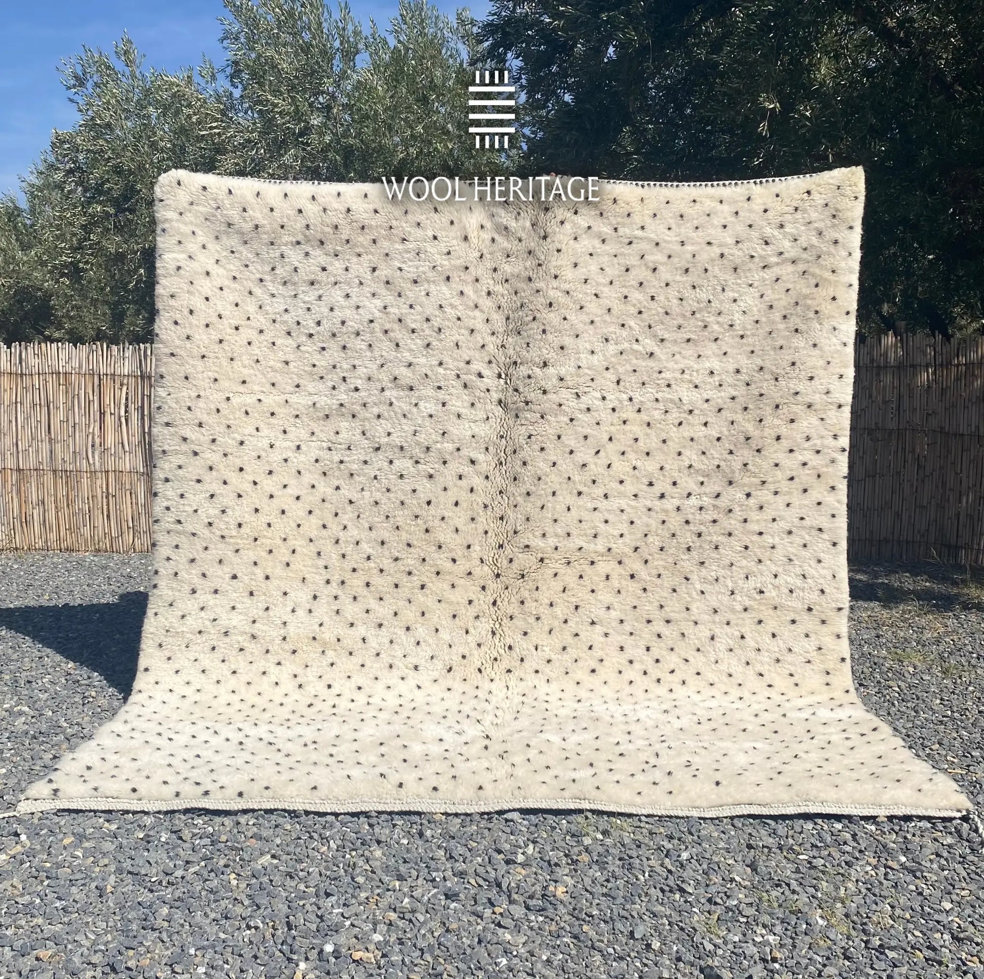 AMUD hand-knotted ivory Moroccan wool rug with charcoal dots displayed outdoors in a full front view
