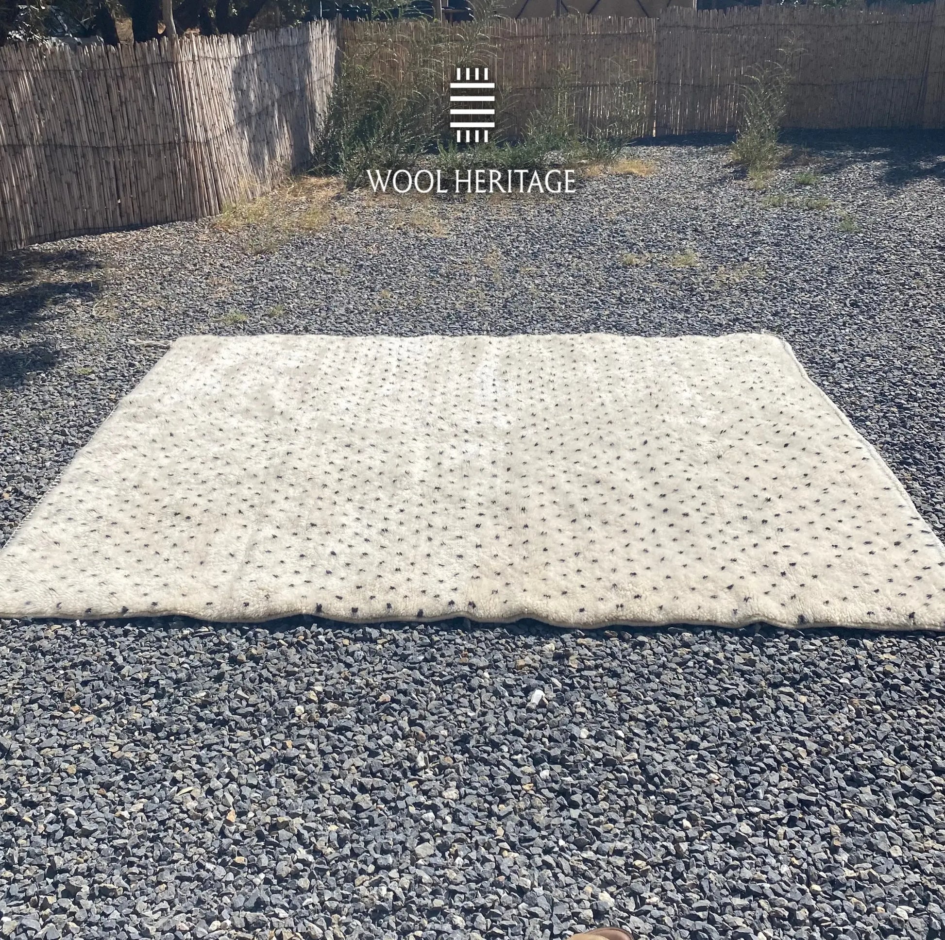Full horizontal view of AMUD Beni Mrirt rug showing its evenly scattered charcoal marks across warm ivory