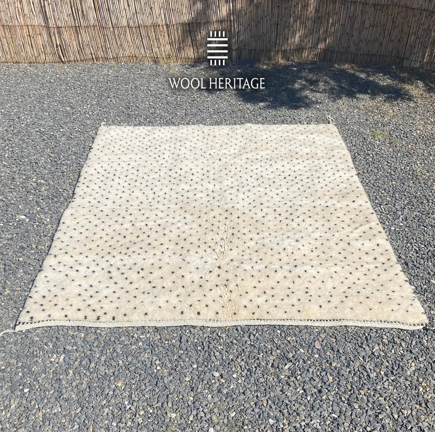 Lengthwise view of AMUD Moroccan rug laid flat, showing its complete dotted seed pattern and ivory field